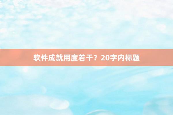 软件成就用度若干？20字内标题