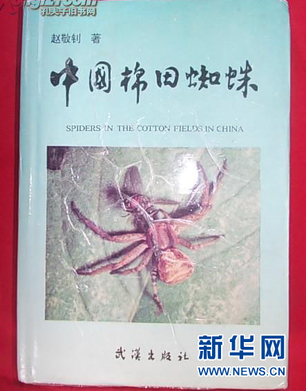 yl23455永利官网