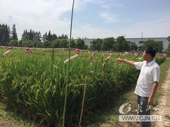 yl23455永利官网